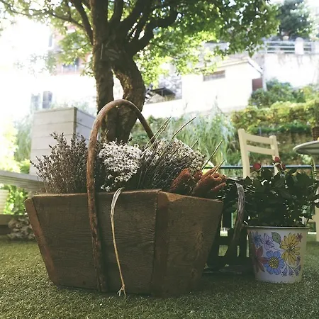 Apartment Perla Alassio