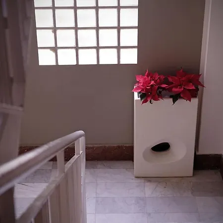 Apartment Perla