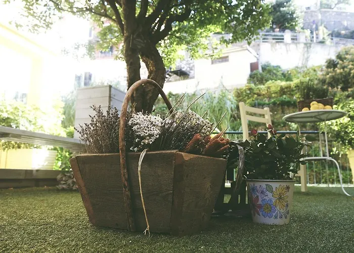 公寓 Perla 阿拉西奥